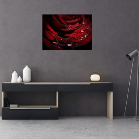 Tablou - Trandafir (70x50 cm)