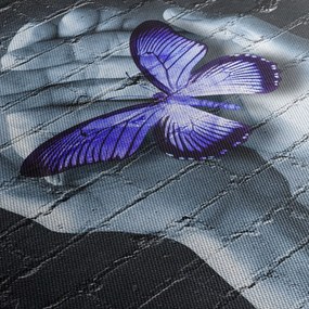 Tablou - Fluture violet pe perete (90x60 cm)