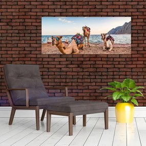 Tablou cu cămile (120x50 cm)