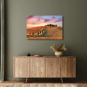 Tablou - Casa pe deal Toscana, Italia (90x60 cm)