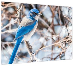 Tablou - Pasare de iarnă (70x50 cm)