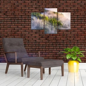 Tablou peisajului montan (90x60 cm)
