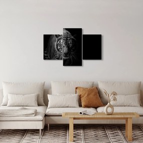 Tablou - Tigru sălbatic (90x60 cm)