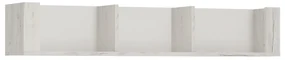 Raft Adamus Typ 61. 788470