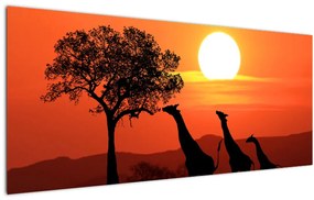 Tablou cu girafe în apus de soare (120x50 cm)