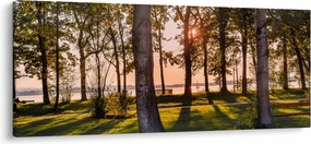 Tablou cu pomi lângă lac (120x50 cm)