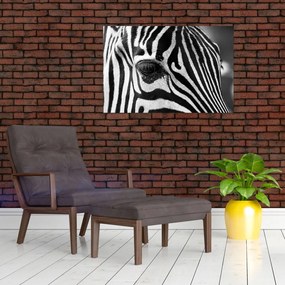 Tablou cu zebră (90x60 cm)