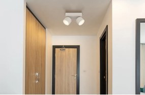 Plafoniera LED cu 2 spoturi moderna RAE