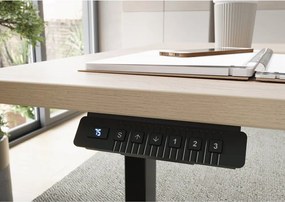 Birou cu aspect de lemn de stejar cu înălțime ajustabilă electric 80x160 cm – Germania