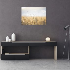 Tablou pe sticlă cu grâne (70x50 cm)