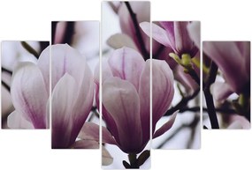 Tablou - Magnolie (150x105 cm)
