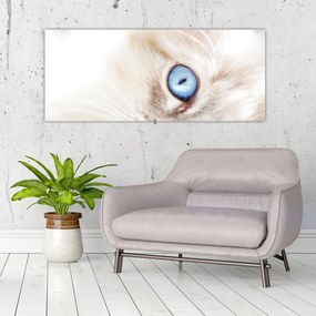 Tablou - Pisicuță (120x50 cm)