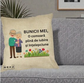 Cadou pentru Bunici - Perna Personalizata Bunicii Mei Comoara Cuplu Senior cu Flori Colorat, 40x40 cm, Crem, Husa Detasabila, Perna Inclusa, BEKZ®