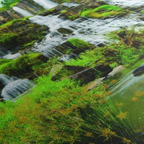 Tablou - cascade cu plante (90x60 cm)
