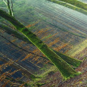 Tablou cu pădure (cu ceas) (90x30 cm)