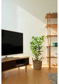 Masă TV maro/în culoare naturală cu aspect de lemn de stejar 140x40 cm Audacious – UMAGE