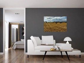 Tablou cu câmp recoltat (90x60 cm)