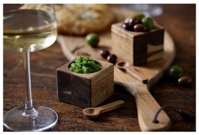 Set solniță și piperniță – Holm