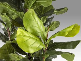 Planta artificiala decorativa Higuera violin, H250