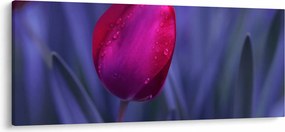 Tablou mugure de lalea (120x50 cm)