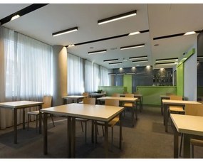 Plafonieră LED aplicată LINO LED/30W/230V 3000/3500/4000K negru LED2