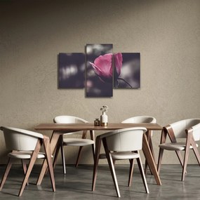 Tablou - Detaliu florii de trandafir (90x60 cm)