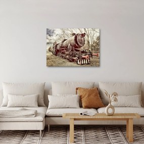 Tablou cu locomotivă istorică (70x50 cm)