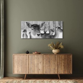 Tablou - Cerbi,alb-negru (120x50 cm)