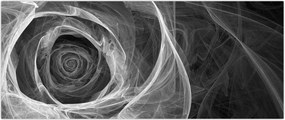 Tablou - Abstract trandafir negru și alb (120x50 cm)