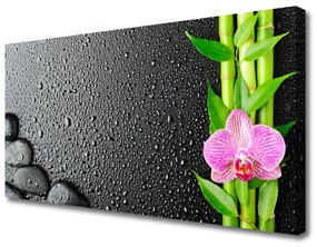 Tablou pe panza canvas Bamboo Peduncul flori Stones verde florale roz negru
