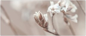 Tablou - Detaliu ramură (120x50 cm)