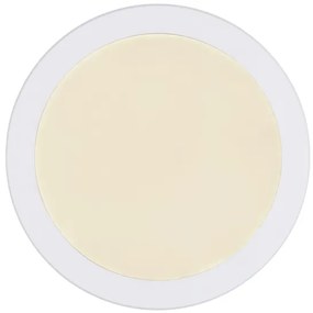 Plafonieră LED Globo 12379-24W LASSE LED/24W/230V