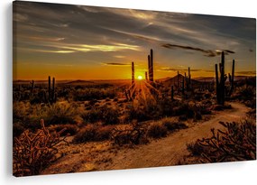 Tablou - Sfărșit de zi în deșertul Arizona (90x60 cm)