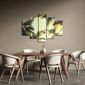 Tablou - Palmieri de cocos (150x105 cm)