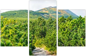 Tablou - Babi Hora, Polonia (90x60 cm)