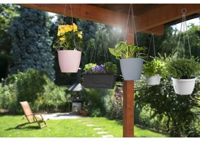 Ghiveci suspendat Gardenico Ariella, antracit, 18 cm