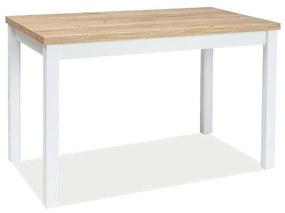 Masa Bucatarie Si Dining Adam Stejar Auriu/Alb Mat 100X60