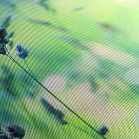 Tablou - Detaliu pajiște (120x50 cm)