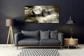 Tablouri acrilice Noapte Moon Peisaj Gri Negru
