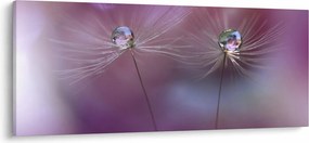 Tablou cu picături pe puf (120x50 cm)