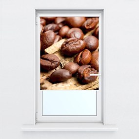 Fotojaluzele R012413R42150 (42x150 cm)