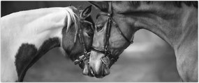Tablou - Cai îndrăgostiți,alb-negru (120x50 cm)
