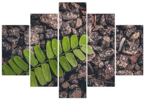 Tablou cu planta verde (150x105 cm)