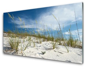 Tablouri acrilice Plaja Peisaj Brun Verde