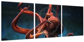 Tablou - Caracatiță (cu ceas) (90x30 cm)