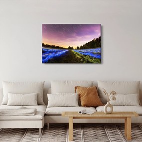 Tablou cu câmp colorat (90x60 cm)