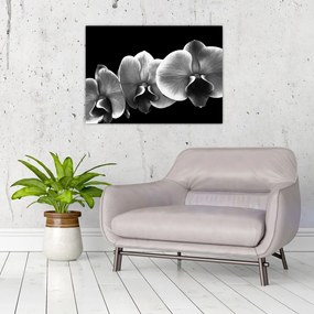 Tablou pe sticlă floare de orhidee (70x50 cm)