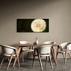 Tablou cu păpădie gri (120x50 cm)