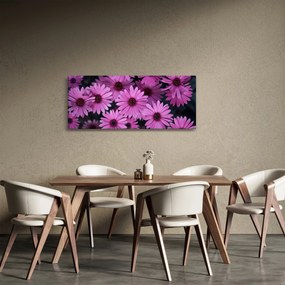 Tablou cu florile roz (120x50 cm)