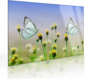 Tablou pe sticlă cu fluture pe floare (70x50 cm)